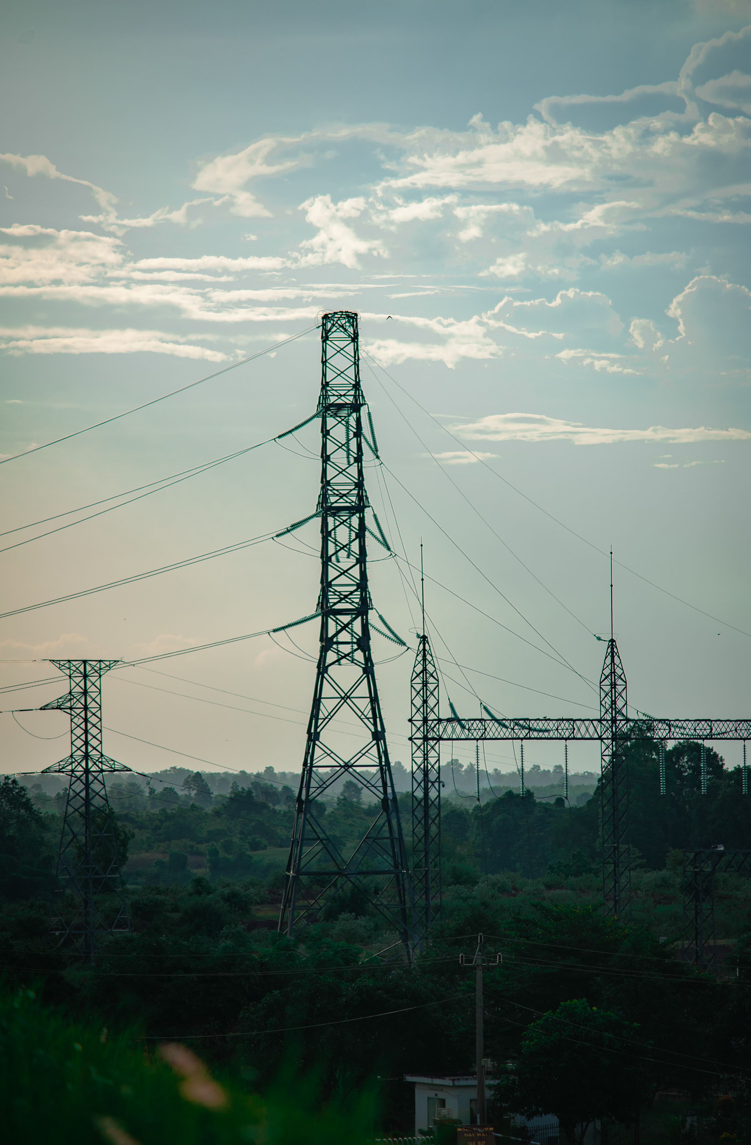High-voltage transmission towers over forest